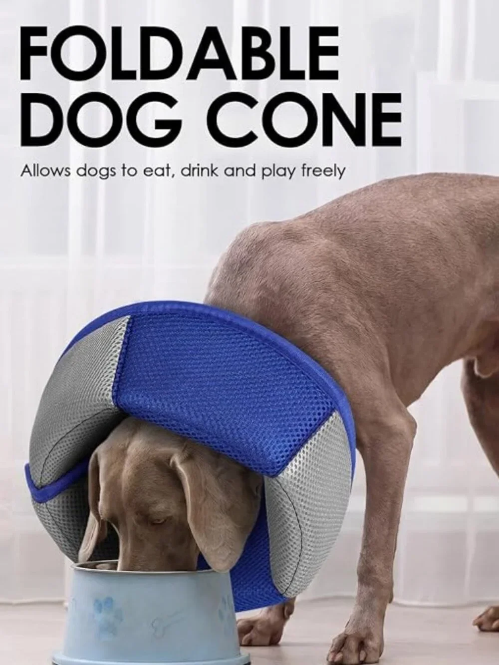 Soft Padded Dog Recovery Cone Blue Adjustable Size L